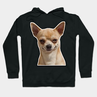 Dog Hoodie